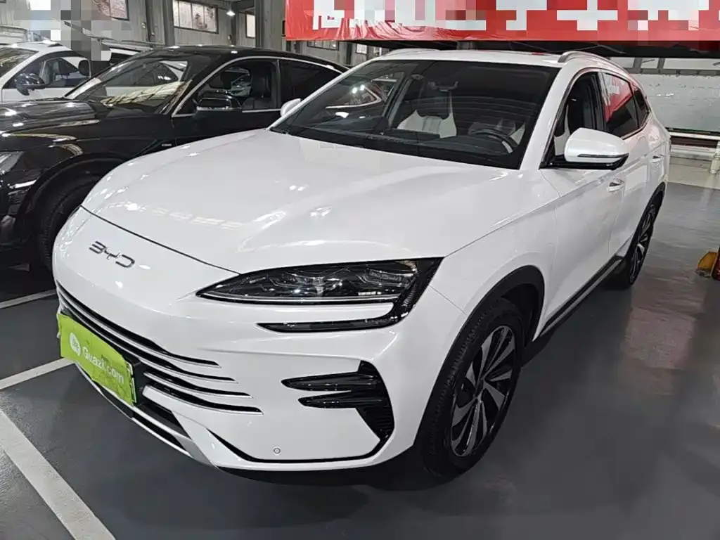 BYD PLUS New Energy 2024 из CN, фото 3