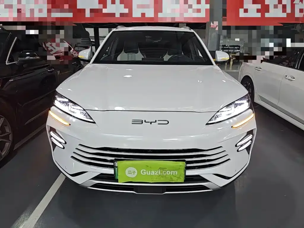 BYD PLUS New Energy 2024 из CN, фото 6