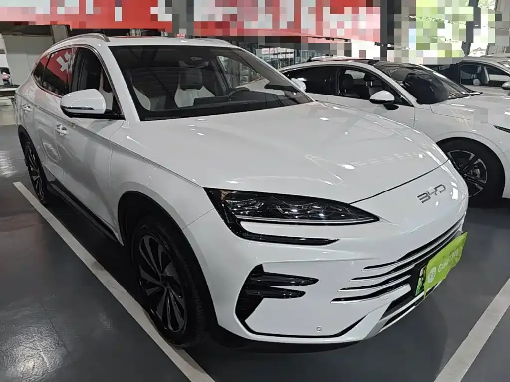 BYD PLUS New Energy 2024 из CN, фото 9