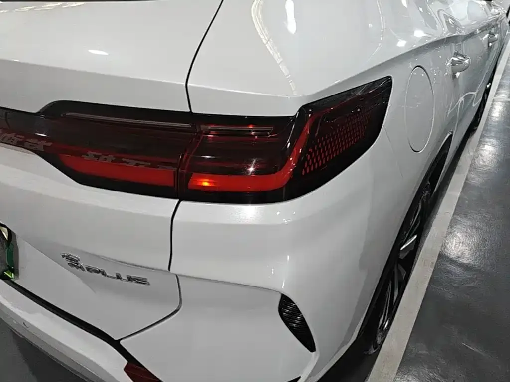 BYD PLUS New Energy 2024 из CN, фото 8