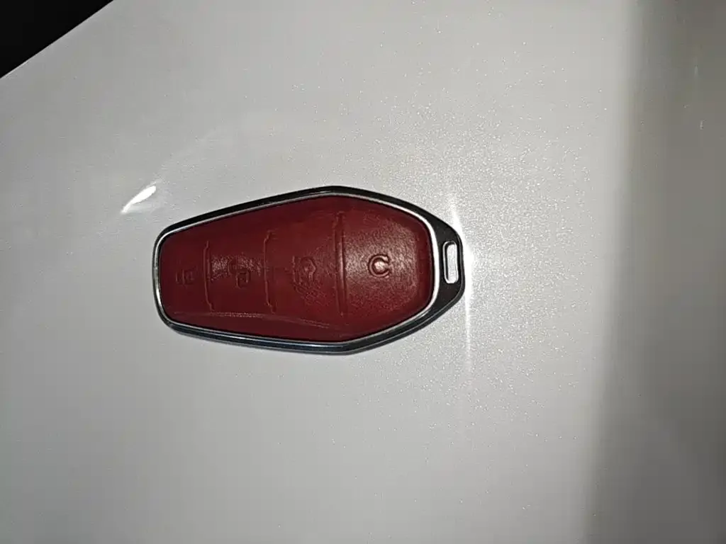 BYD PLUS New Energy 2024 из CN, фото 2