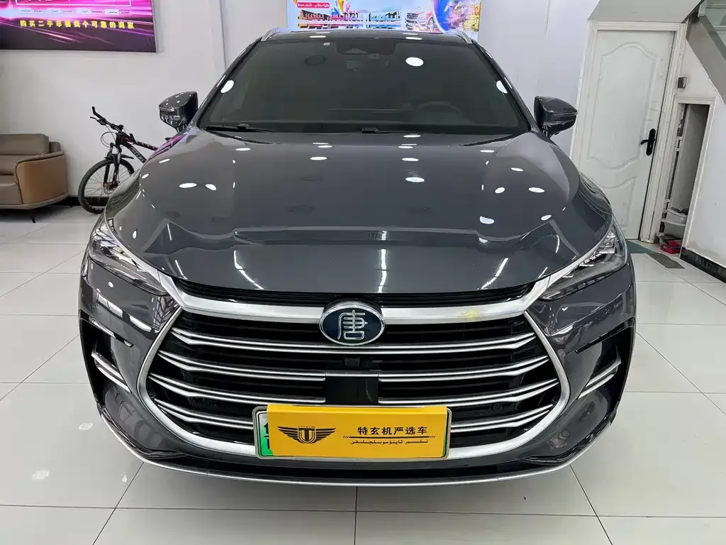 BYD Tang New Energy 2024 из CN, фото 5