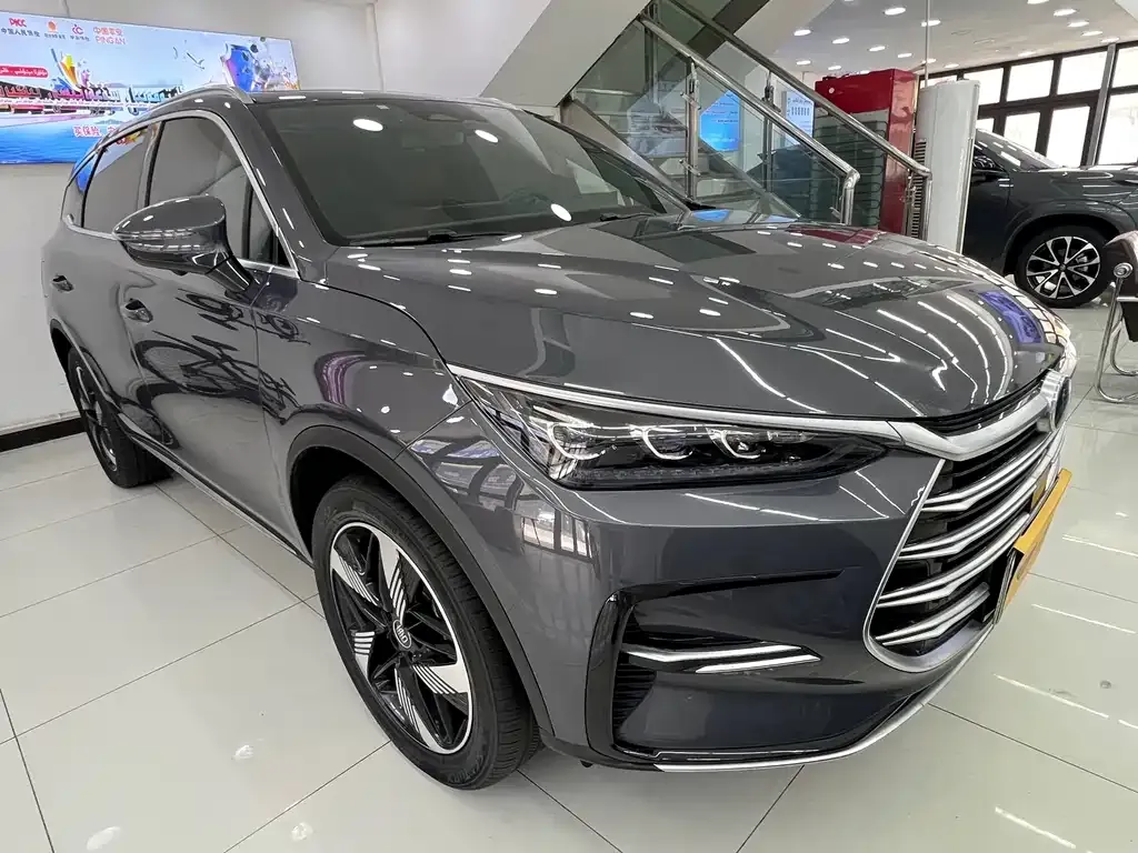 BYD Tang New Energy 2024 из CN, фото 9