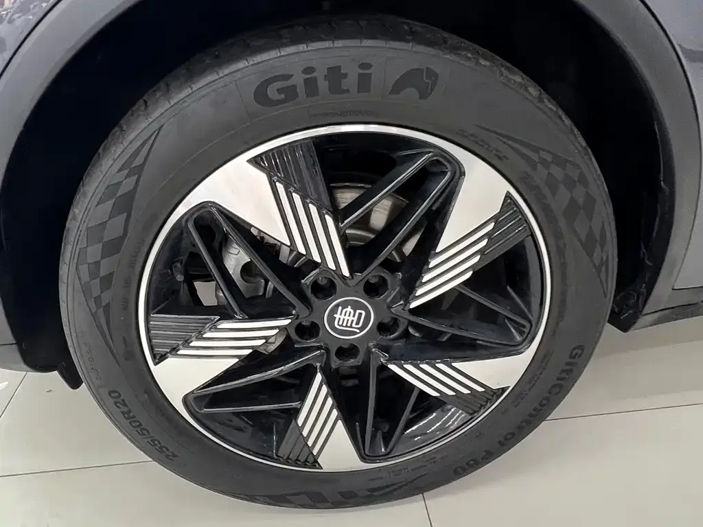 BYD Tang New Energy 2024 из CN, фото 2