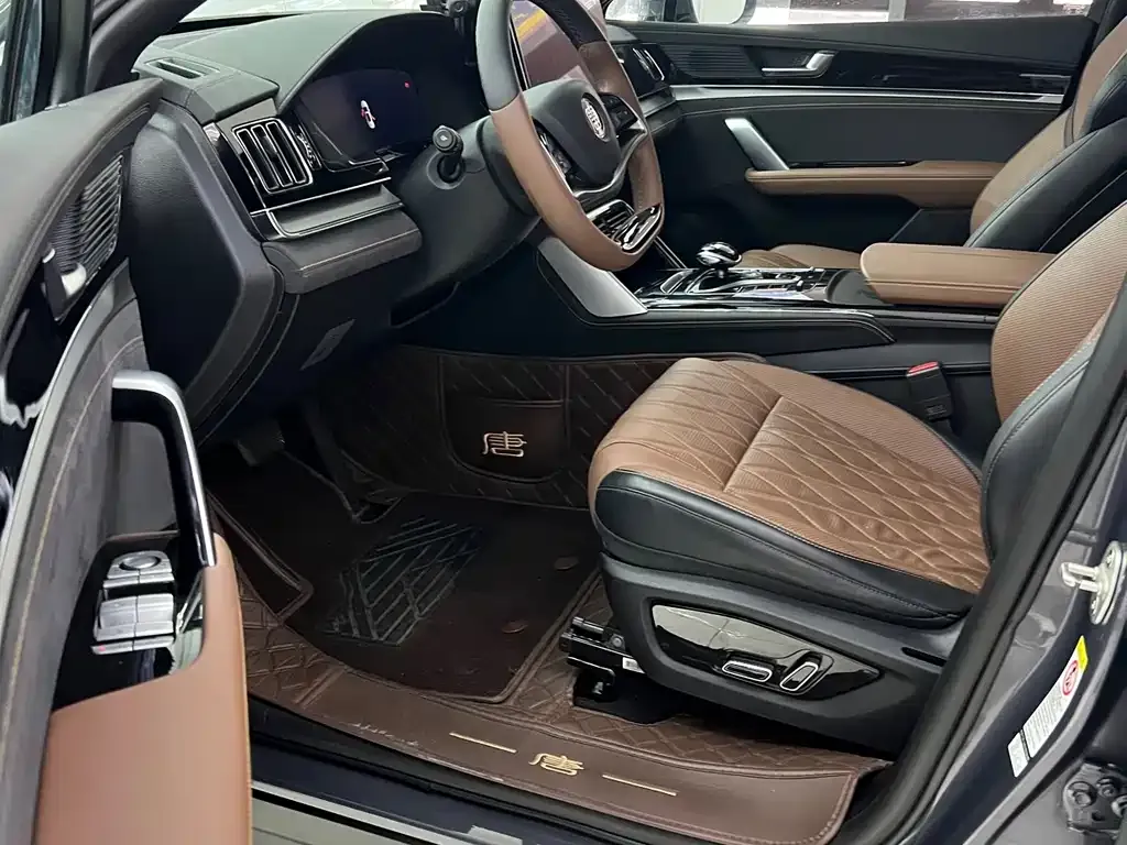BYD Tang New Energy 2024 из CN, фото 6