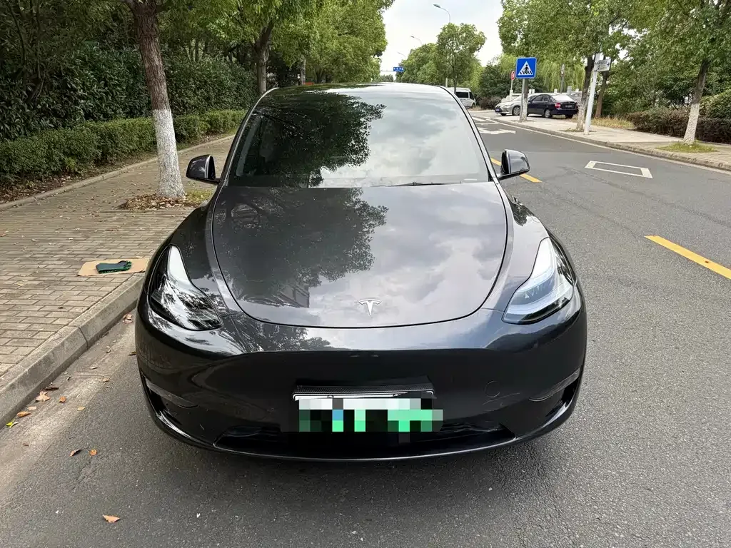 Tesla Model Y — фото 8