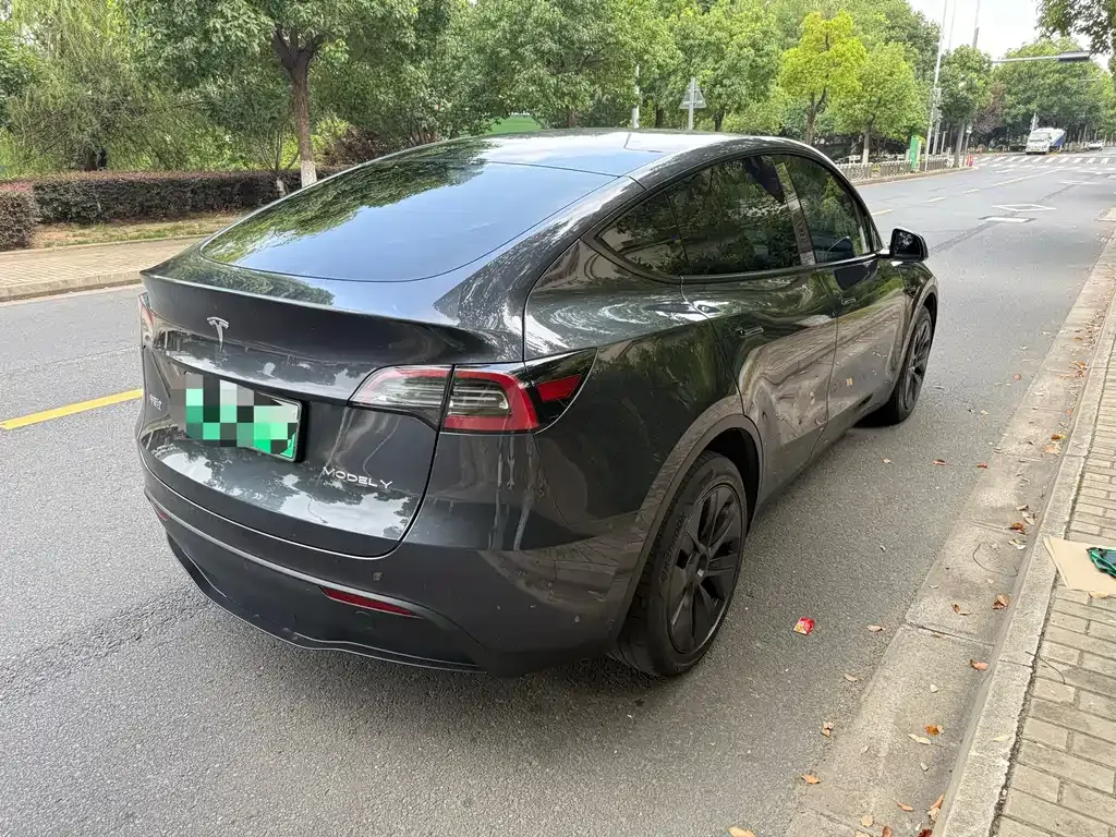 Tesla Model Y — фото 5
