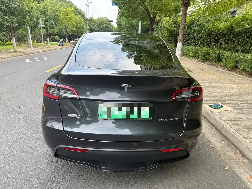 Tesla Model Y — фото 9