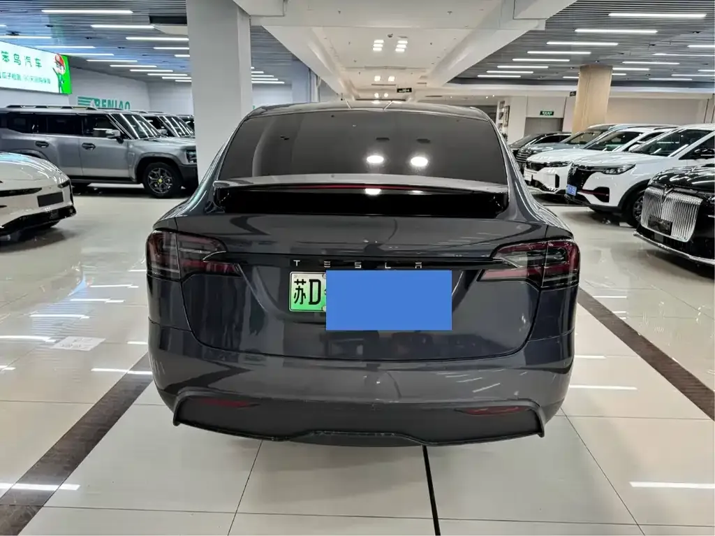 Tesla Model X — фото 2