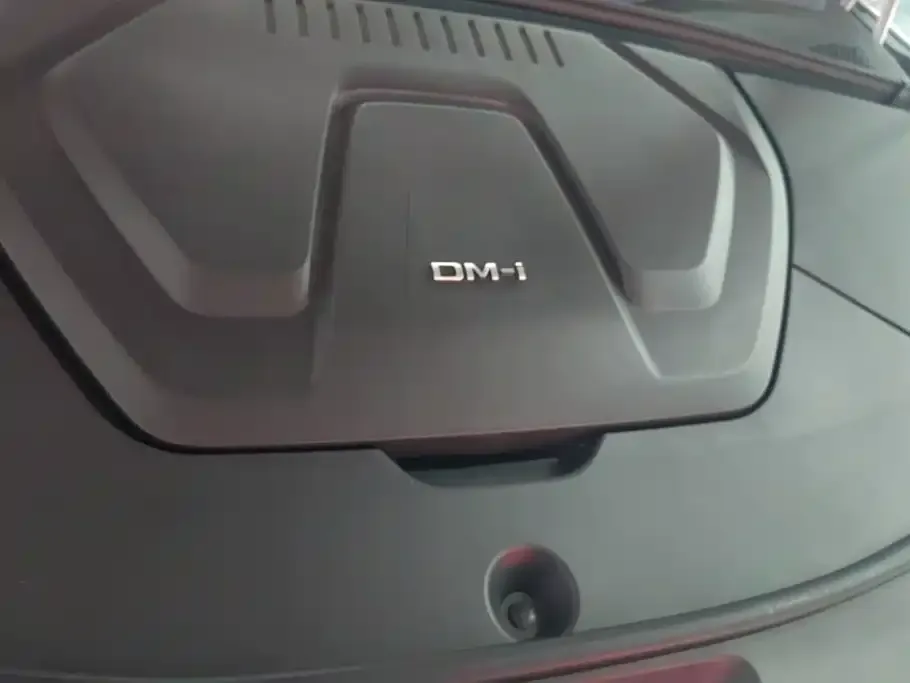 BYD PLUS New Energy — фото 8