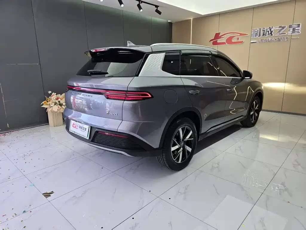 BYD Pro New Energy — фото 7
