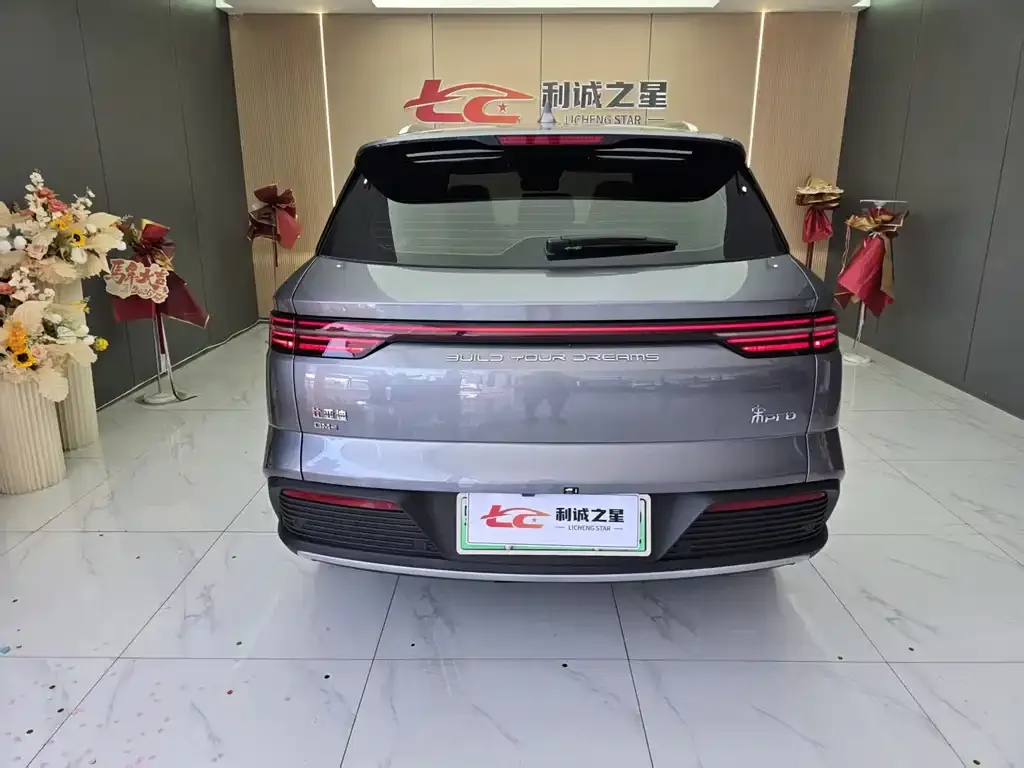 BYD Pro New Energy — фото 5