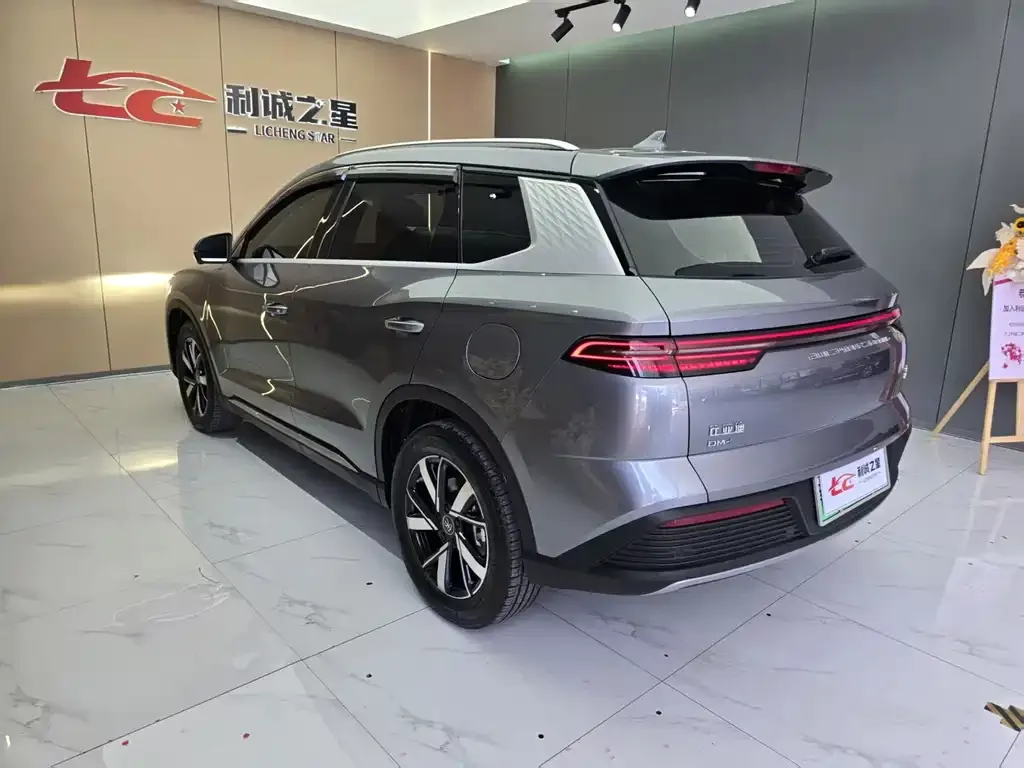 BYD Pro New Energy — фото 10