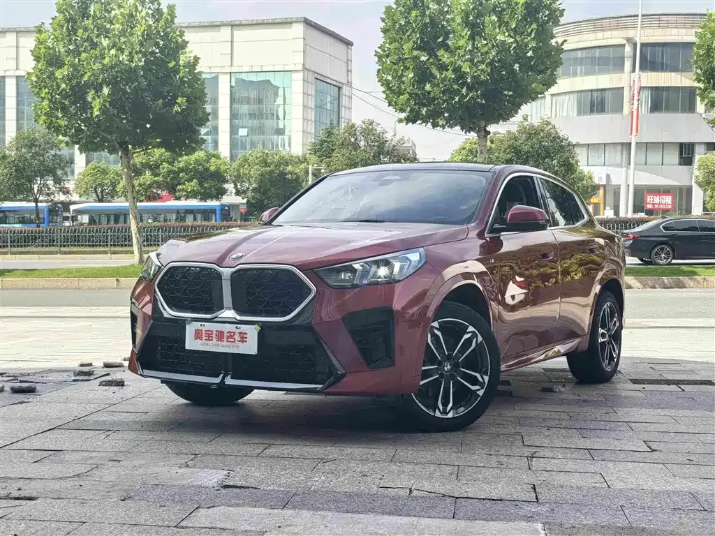 BMW X2 (Import) — фото 1