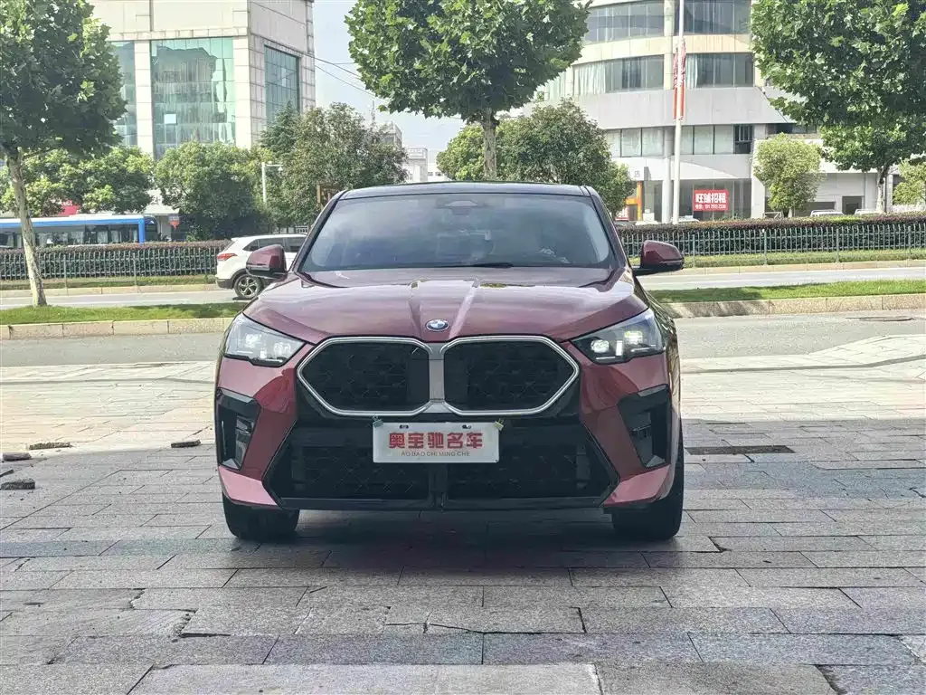 BMW X2 (Import) — фото 8