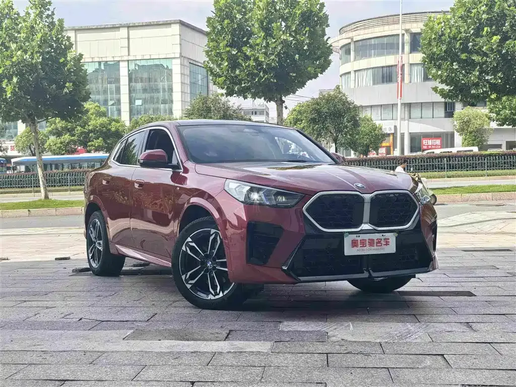 BMW X2 (Import) — фото 7