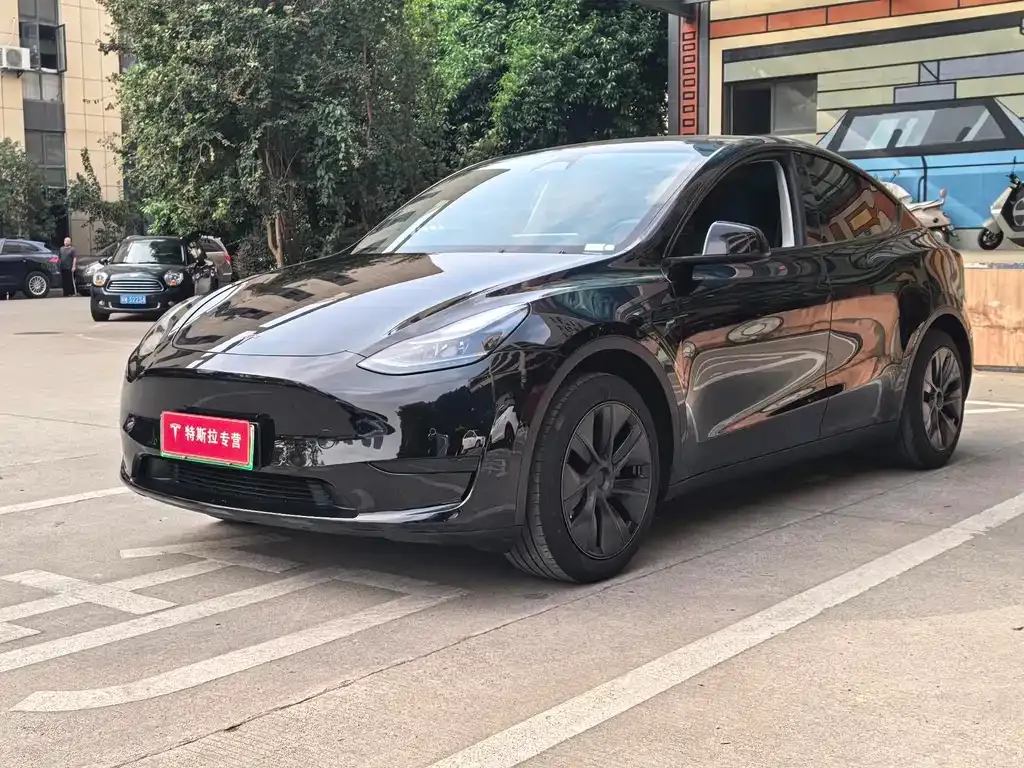 Tesla Model Y — фото 1