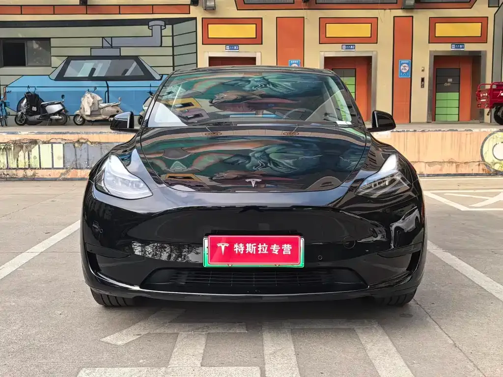 Tesla Model Y — фото 3
