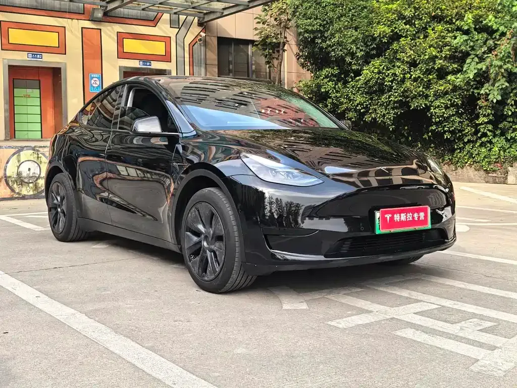 Tesla Model Y — фото 10