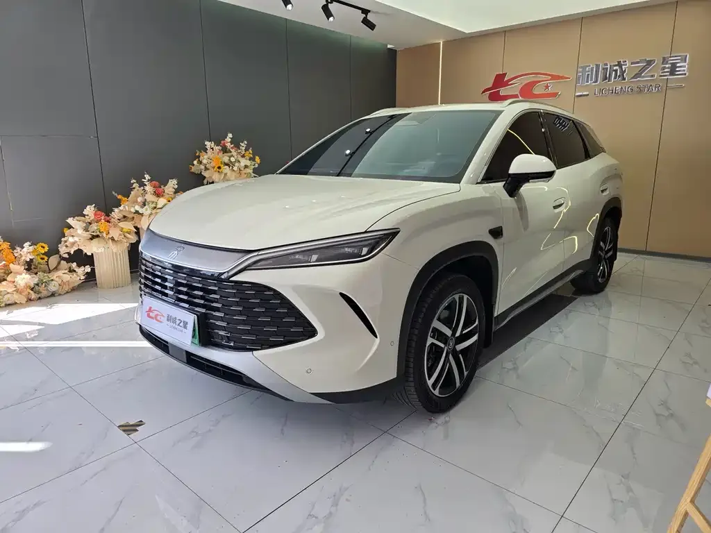 BYD L DM-i — фото 1