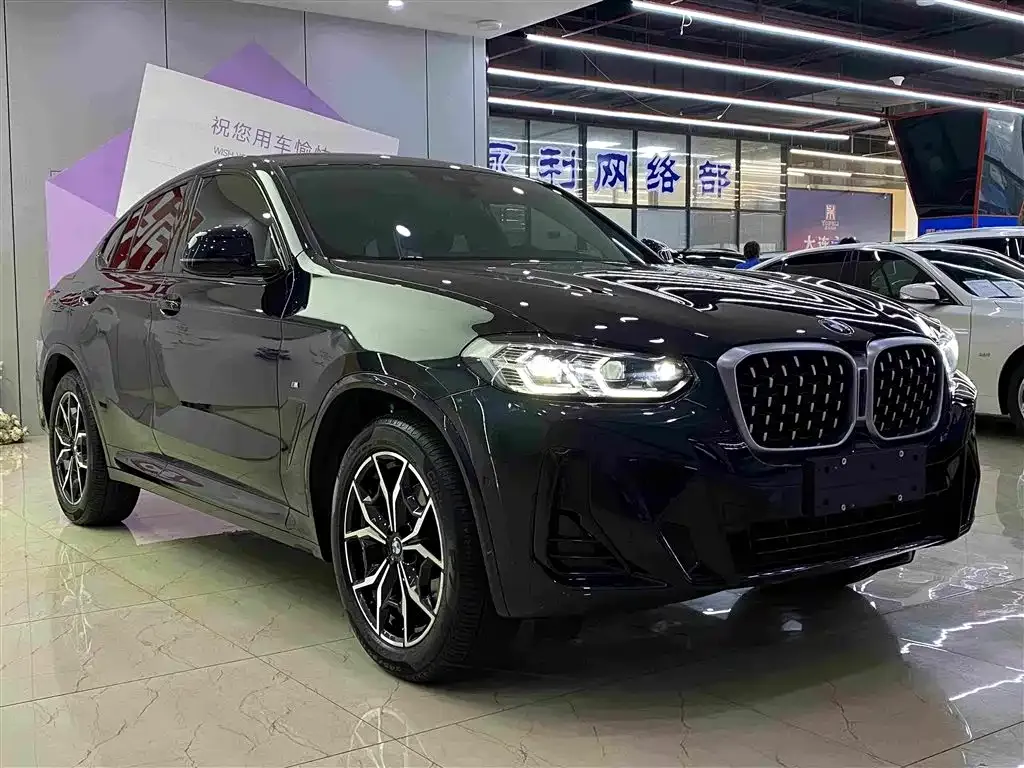 BMW X4 — фото 10
