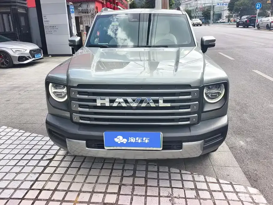 Haval Menglong New Energy 2024 из CN, фото 6
