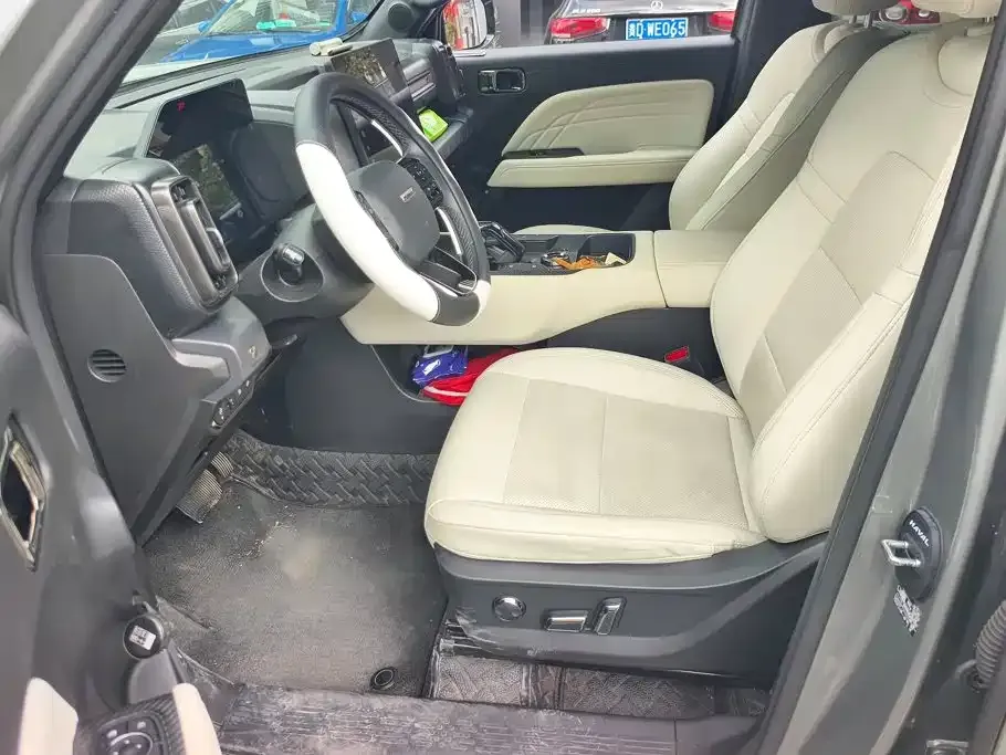 Haval Menglong New Energy 2024 из CN, фото 5