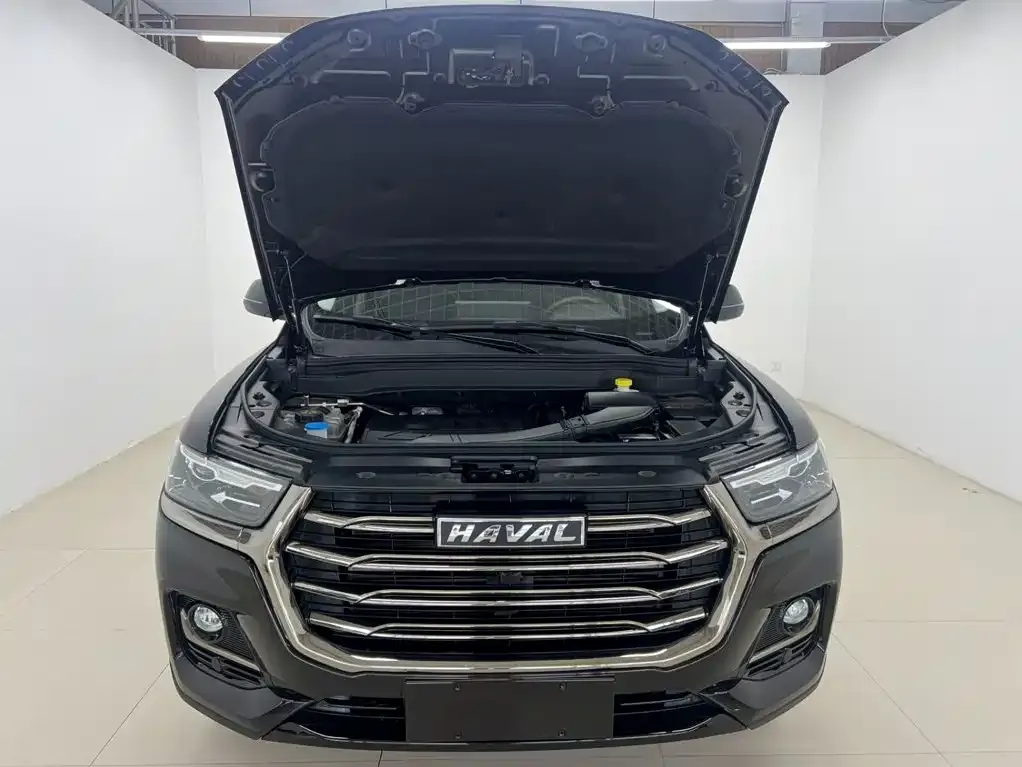 Haval H6 — фото 9