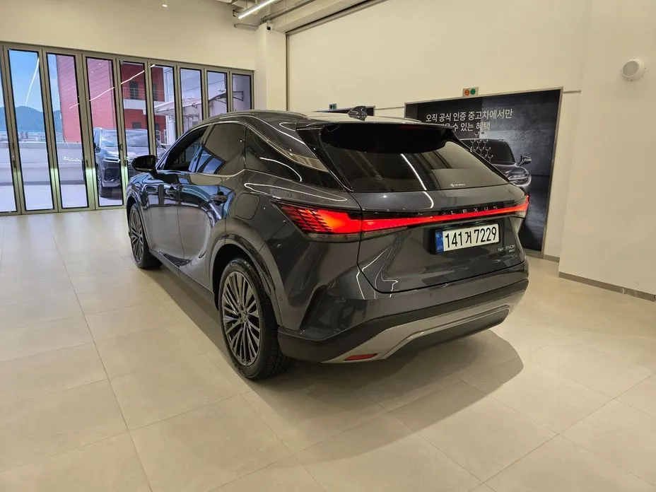 Lexus RX — фото 10