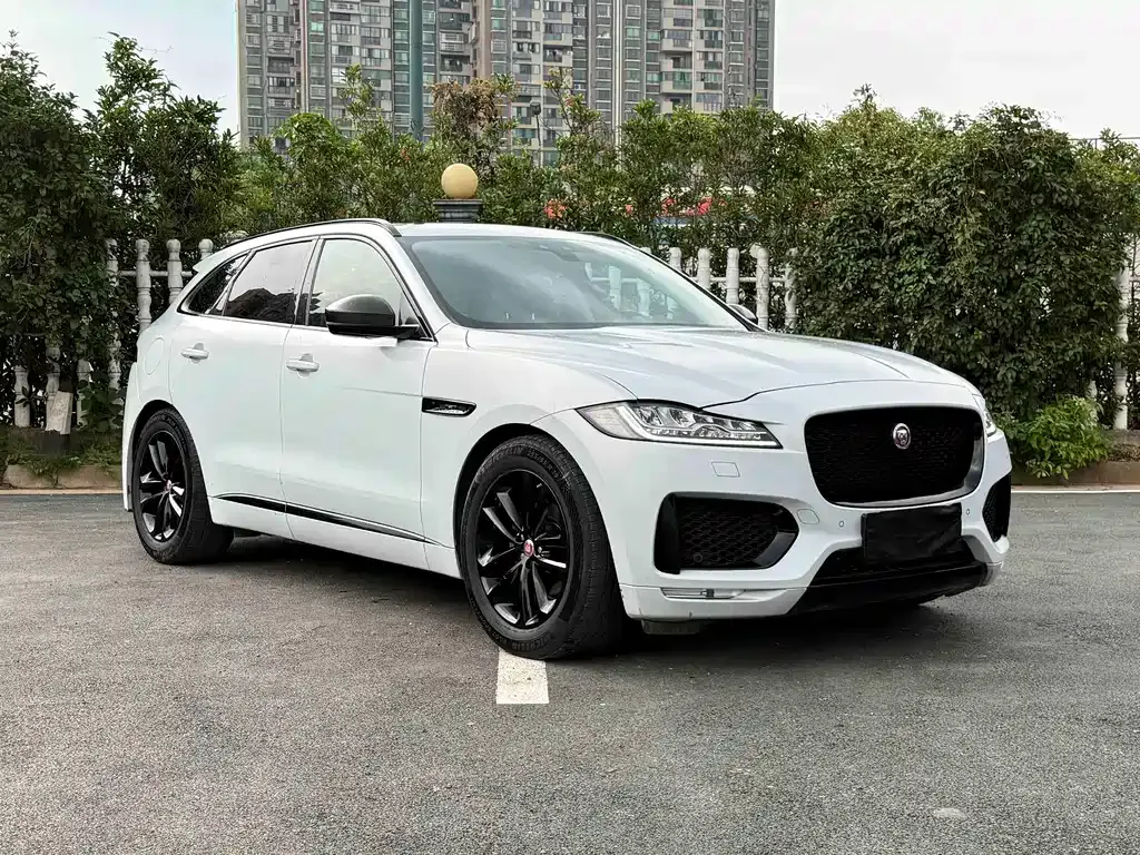 Jaguar F-PACE 2021 из CN, фото 10