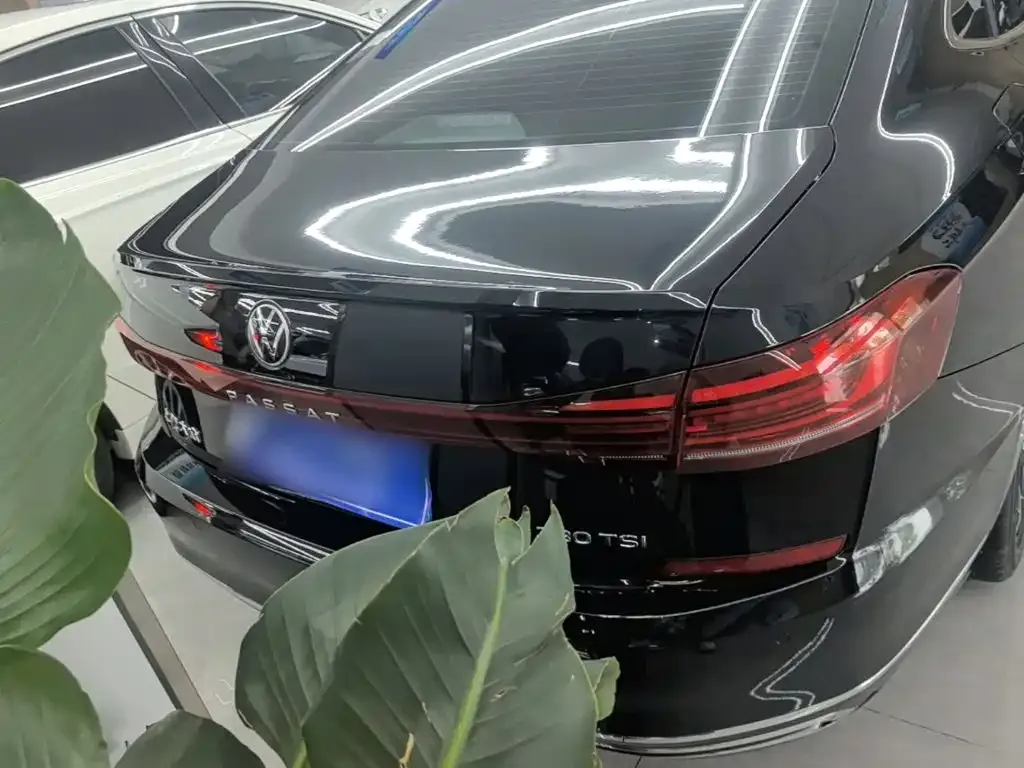 Volkswagen Passat — фото 6