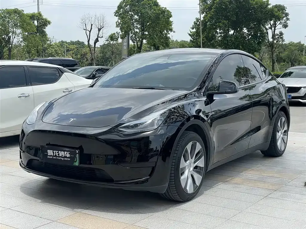 Tesla Model Y — фото 1