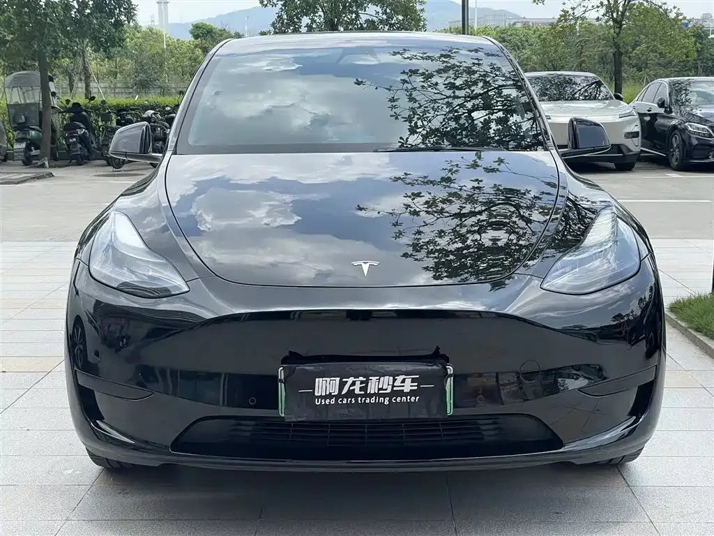 Tesla Model Y — фото 10