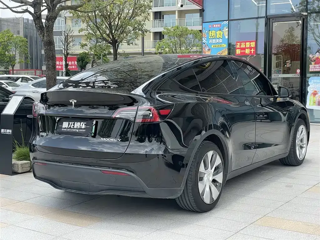 Tesla Model Y — фото 9
