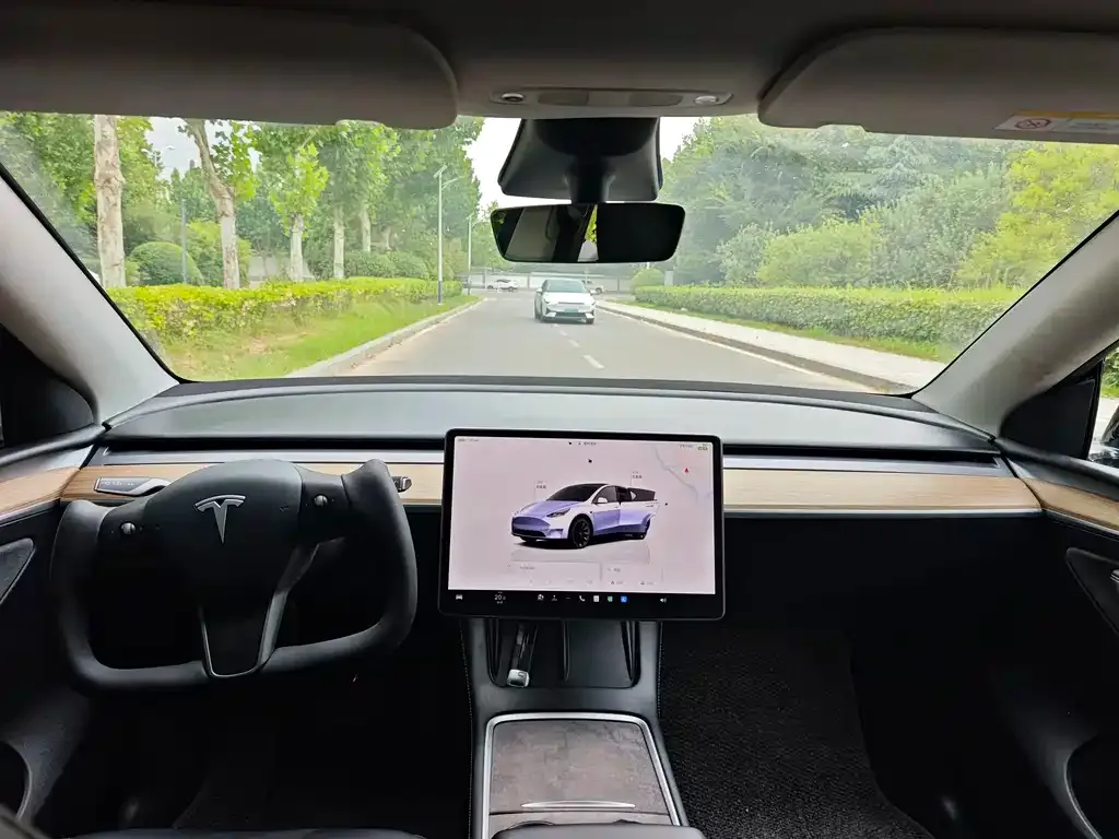 Tesla Model Y — фото 6