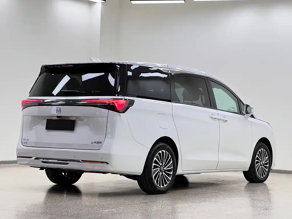 Buick GL8 Hybrid — фото 9