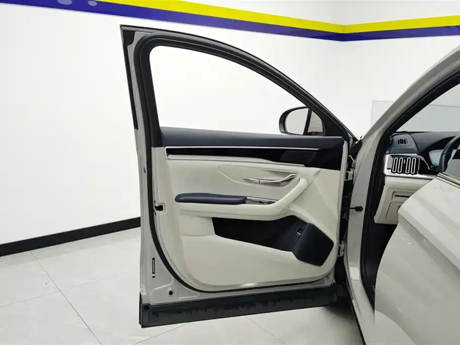 BYD PLUS New Energy — фото 2