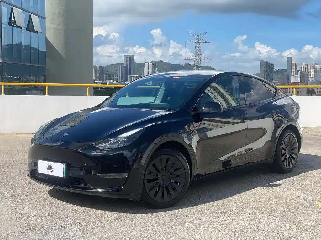 Tesla Model Y — фото 1