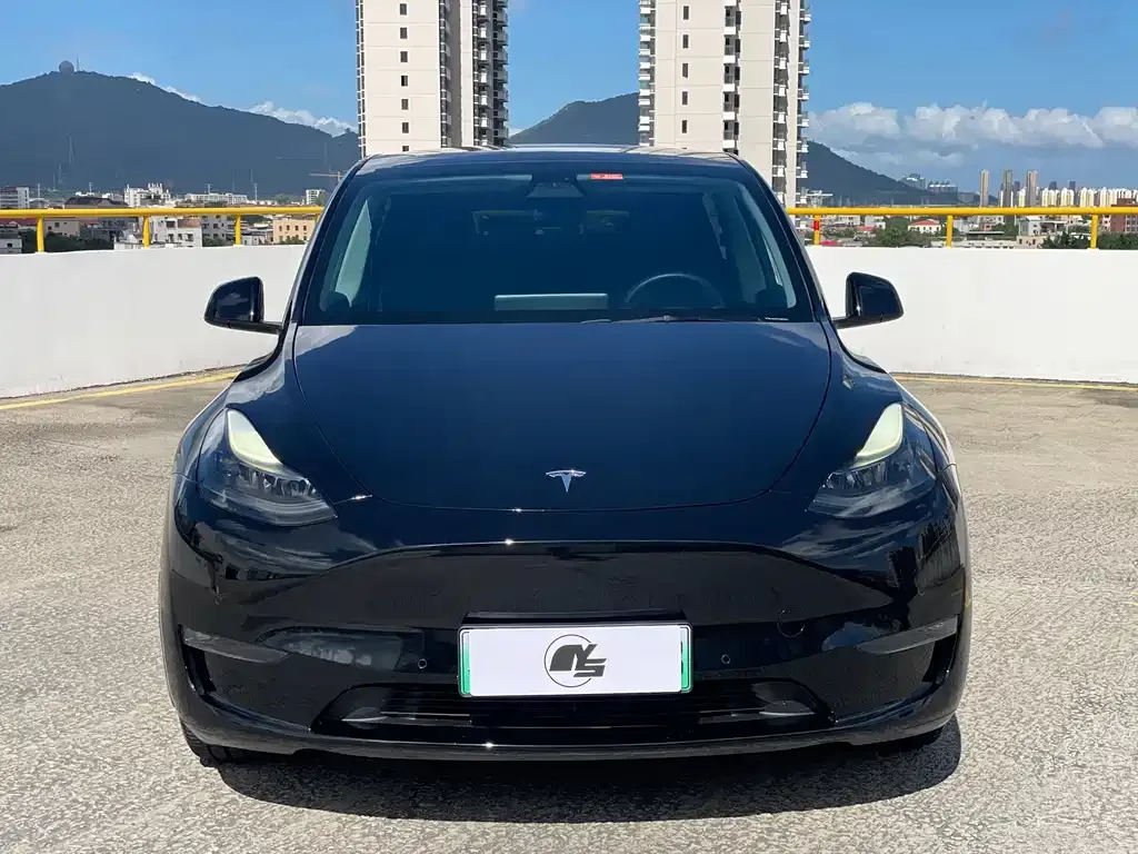 Tesla Model Y — фото 5