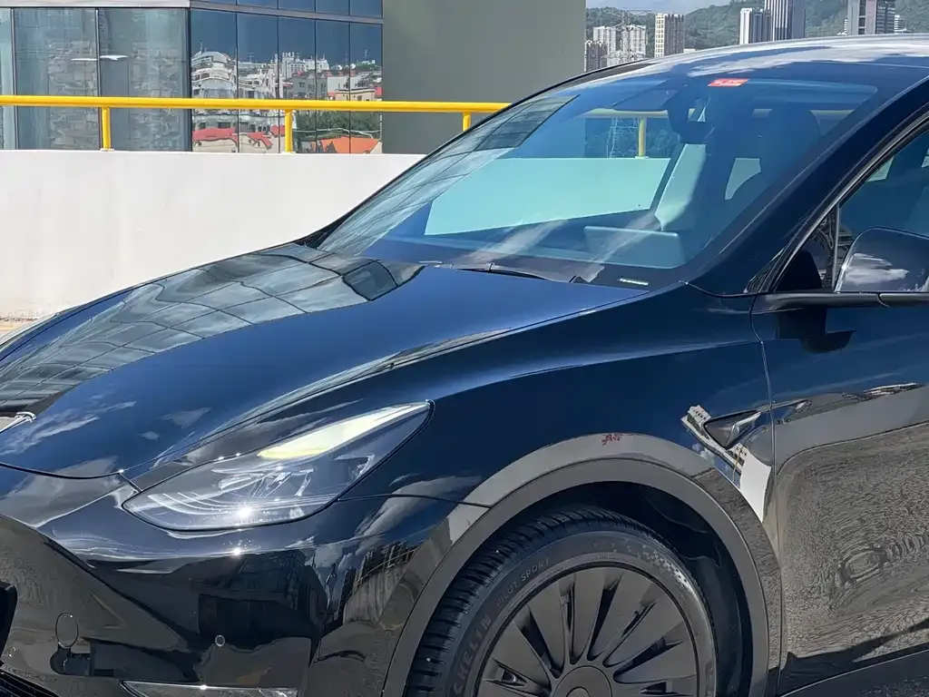 Tesla Model Y — фото 2