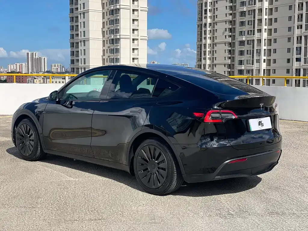 Tesla Model Y — фото 10