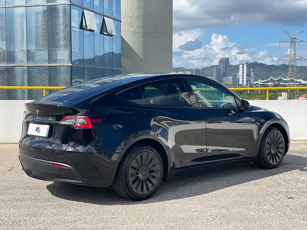 Tesla Model Y — фото 8