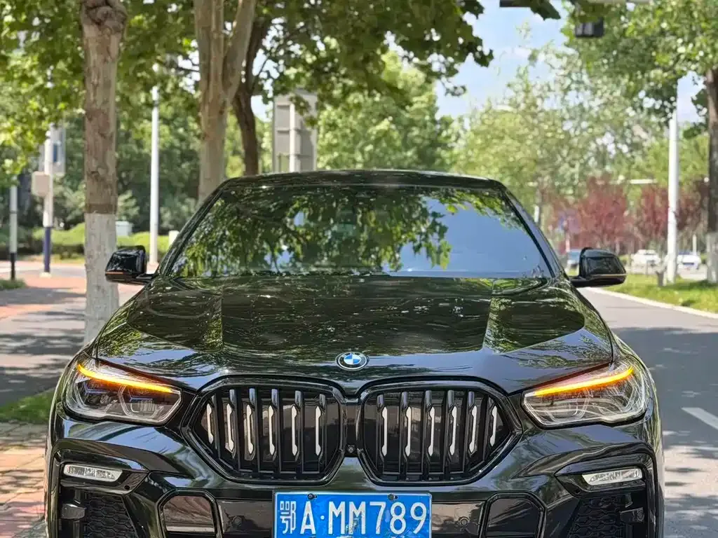 BMW X6 — фото 1