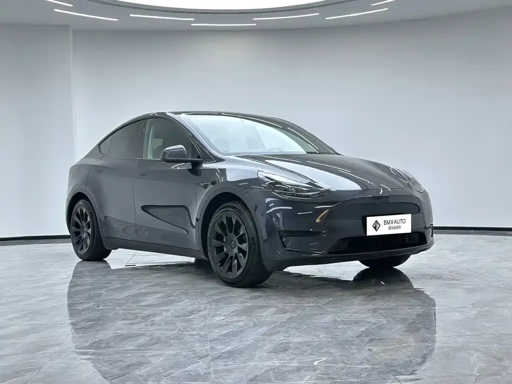 Tesla Model Y — фото 10
