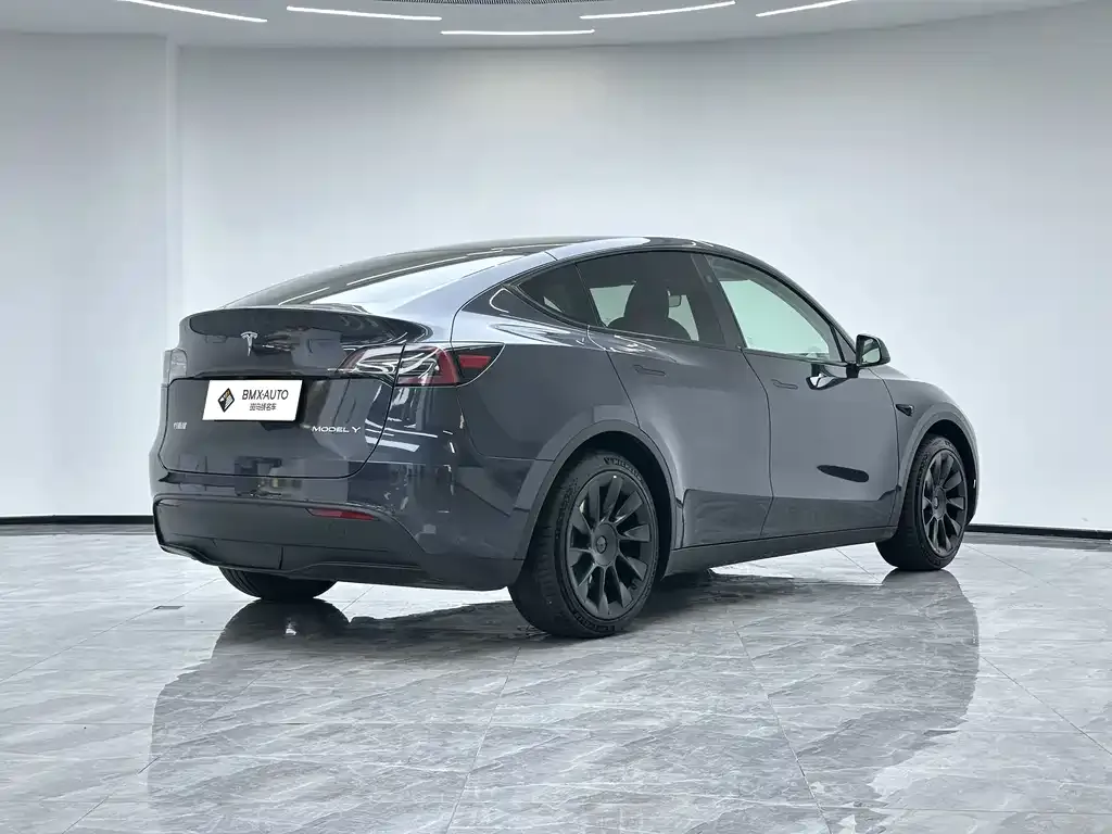 Tesla Model Y — фото 6