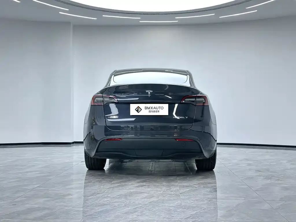 Tesla Model Y — фото 2