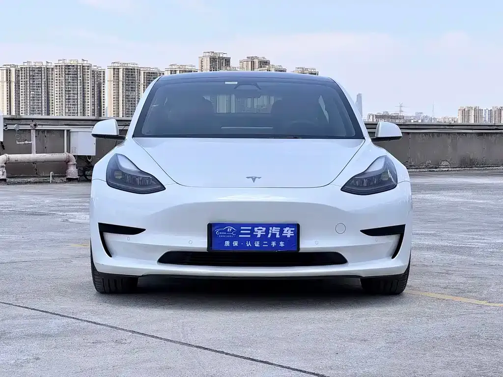 Tesla Model 3 — фото 2