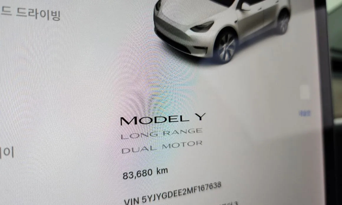 Tesla Model Y — фото 10