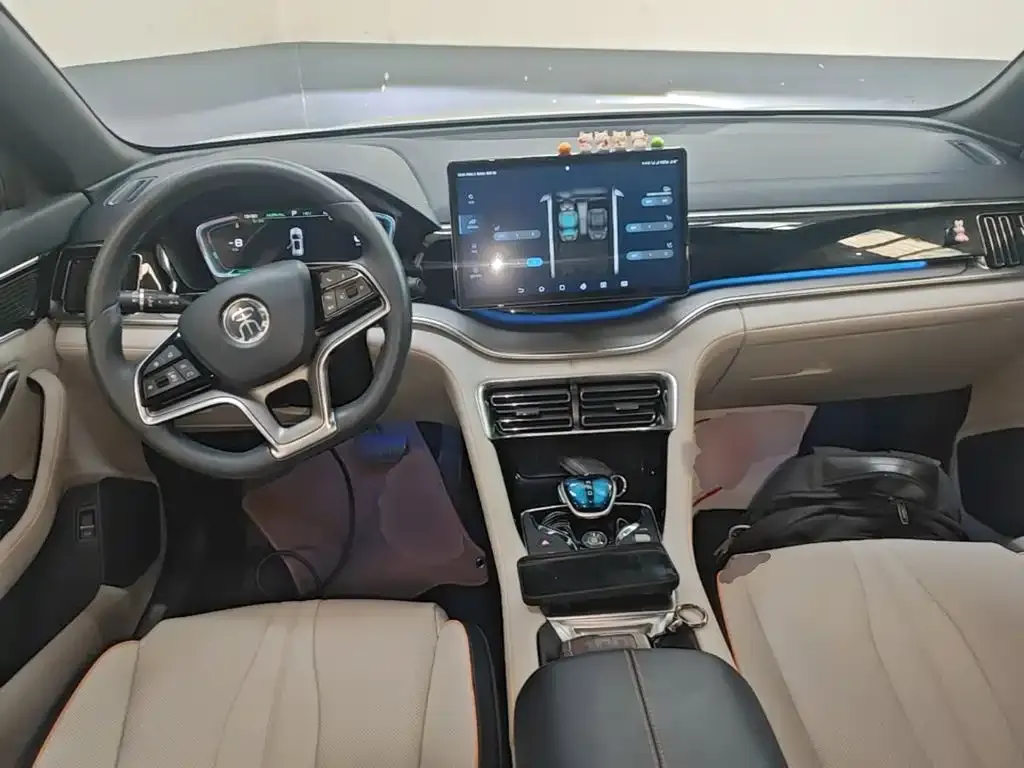BYD PLUS New Energy — фото 6