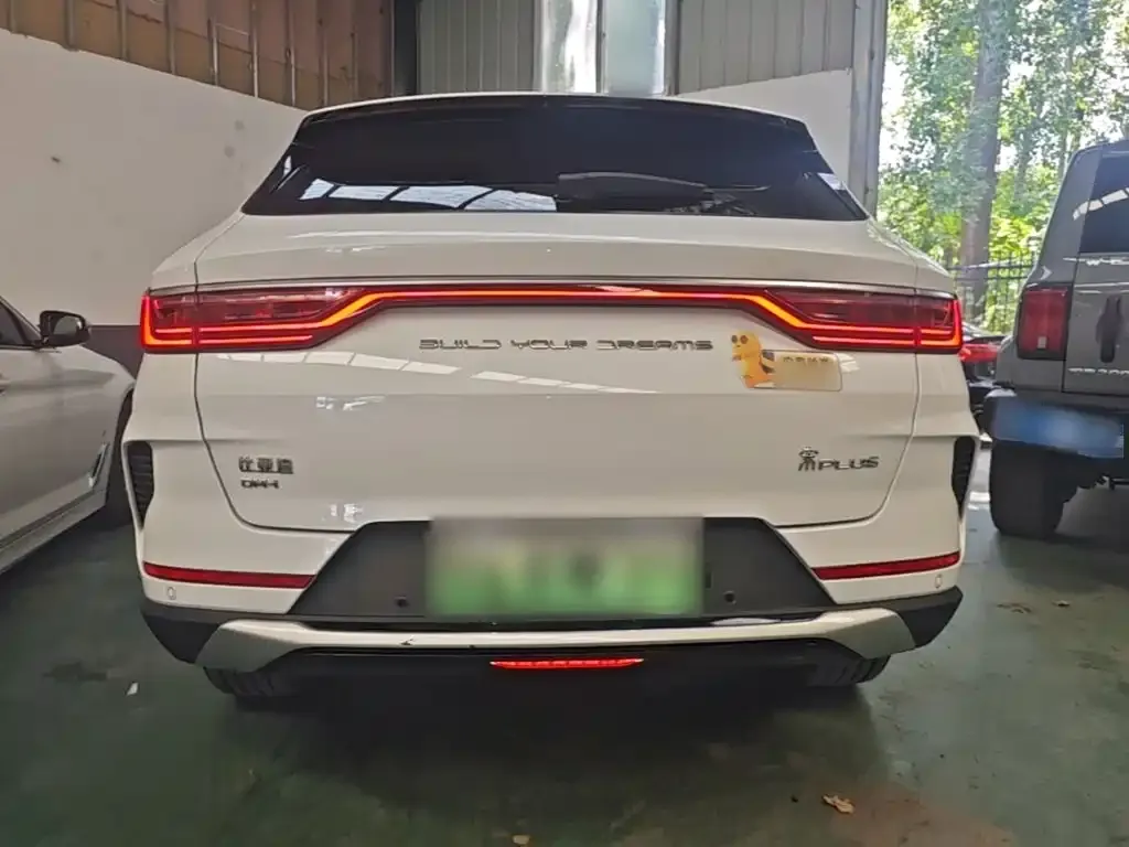 BYD PLUS New Energy — фото 8